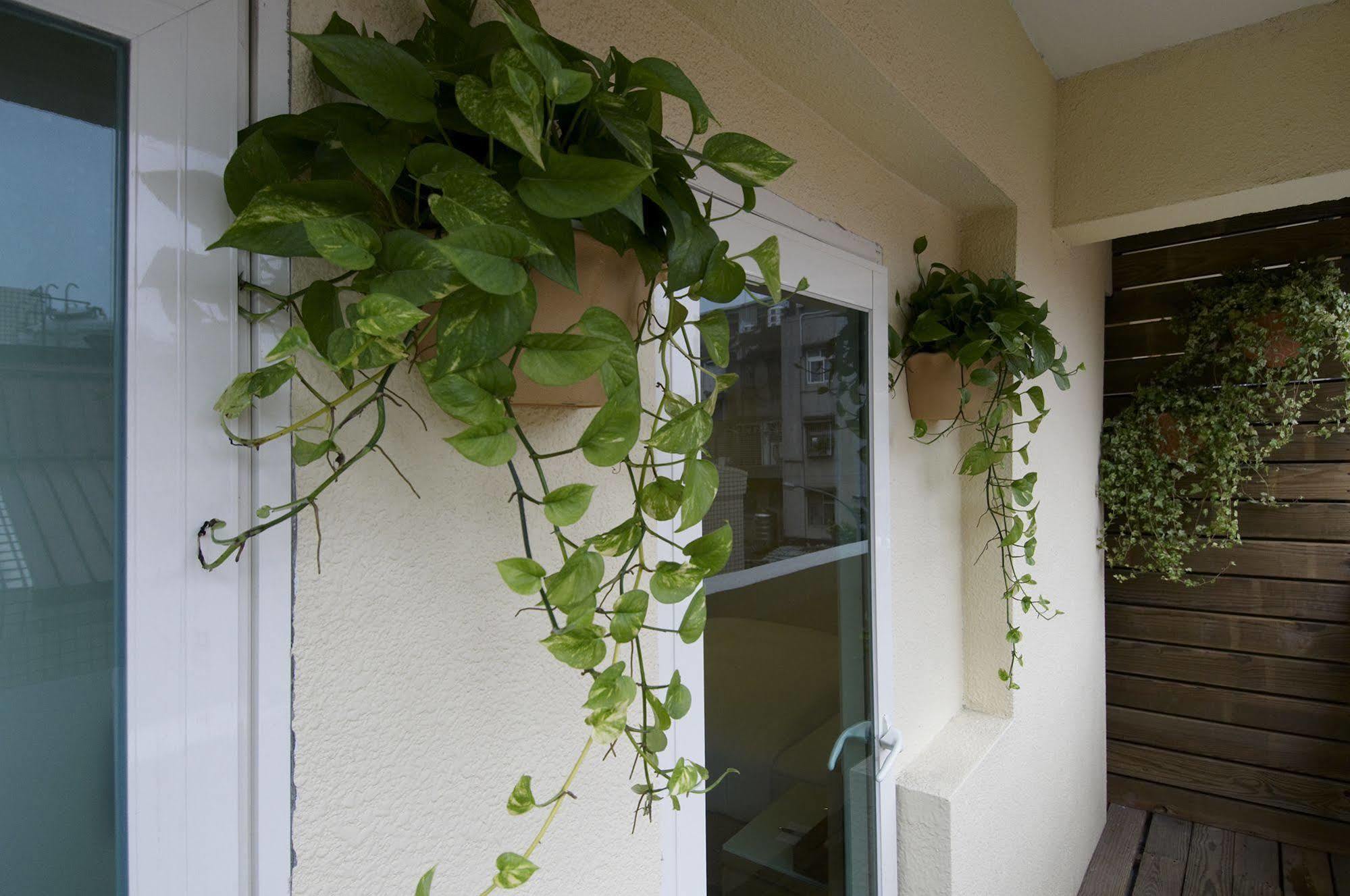 Hotel Color Banciao Dış mekan fotoğraf